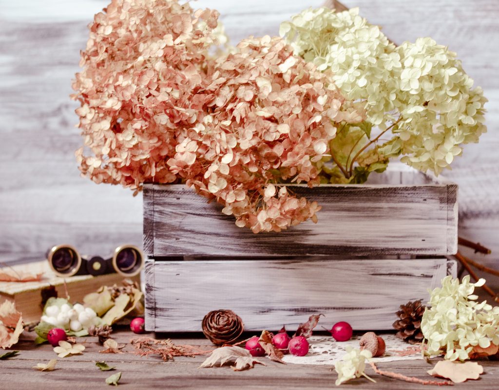 A wooden box with pink and white dried hydrangeas in it. Around the box are flowers petals, pine cones, and berries.