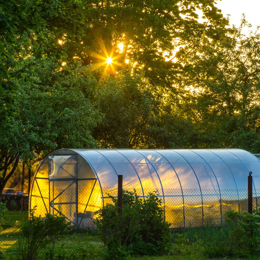Greenhouse in private area
