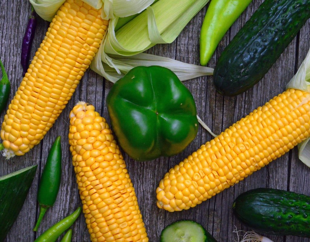 Harvested corn on the table