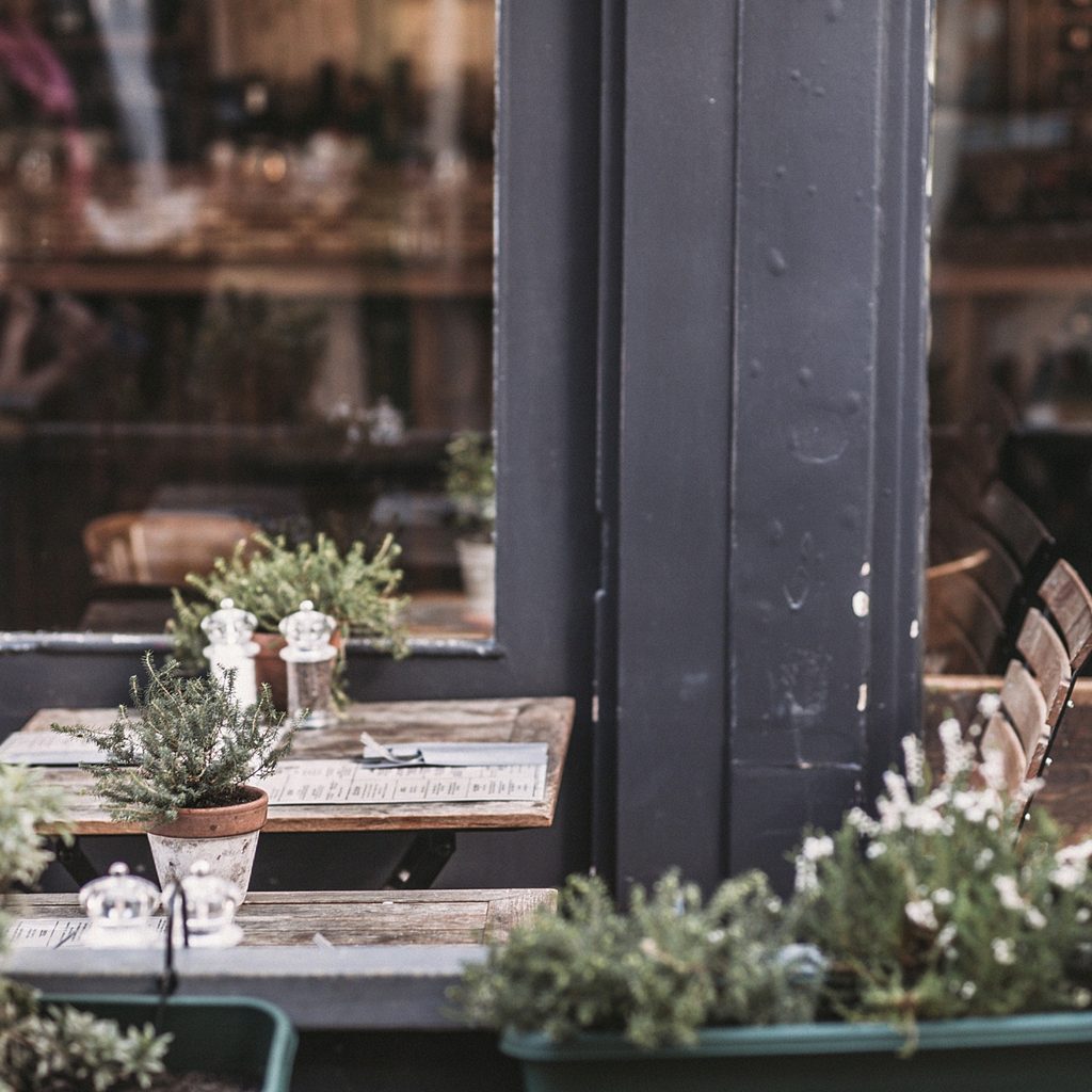 Green Plant Near Door