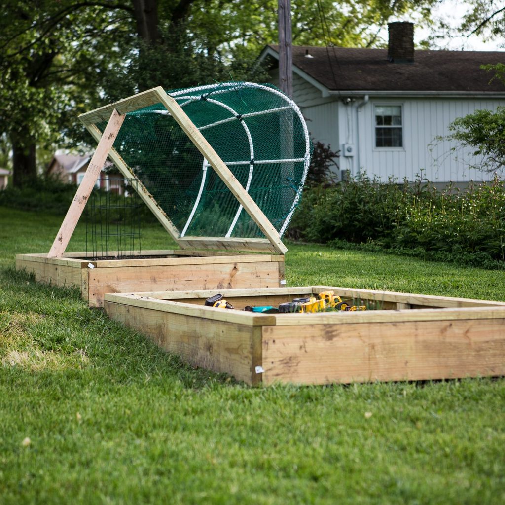 raised bed gardening