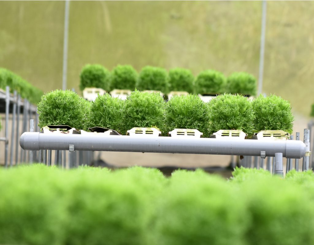 Nutrient film technique