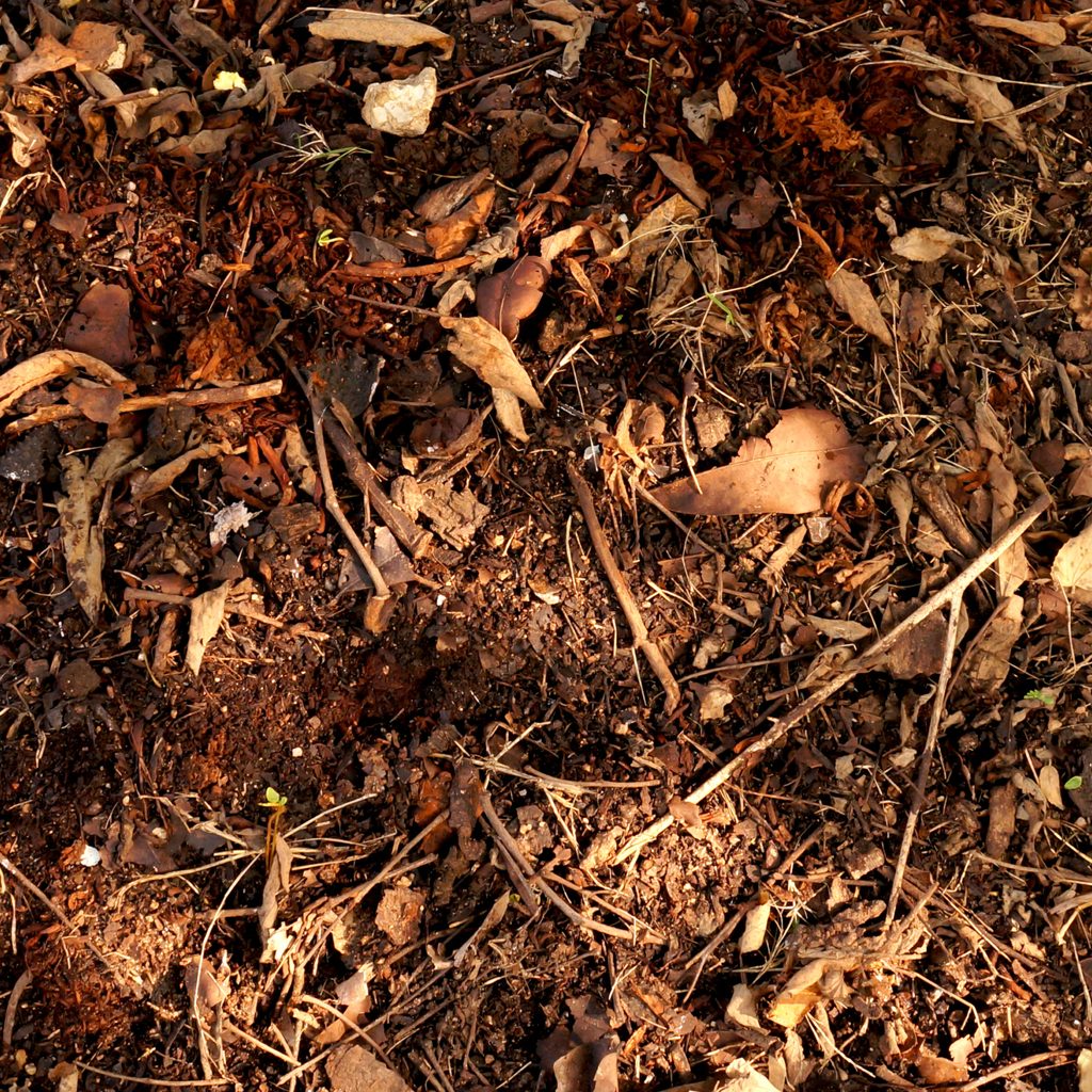 Organic Fertilizer Compost