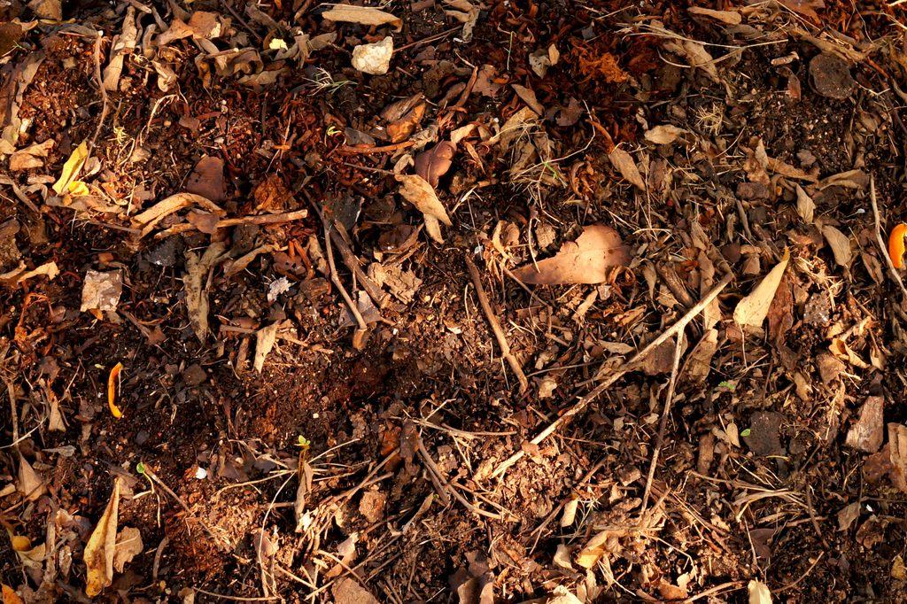 Organic Fertilizer Compost