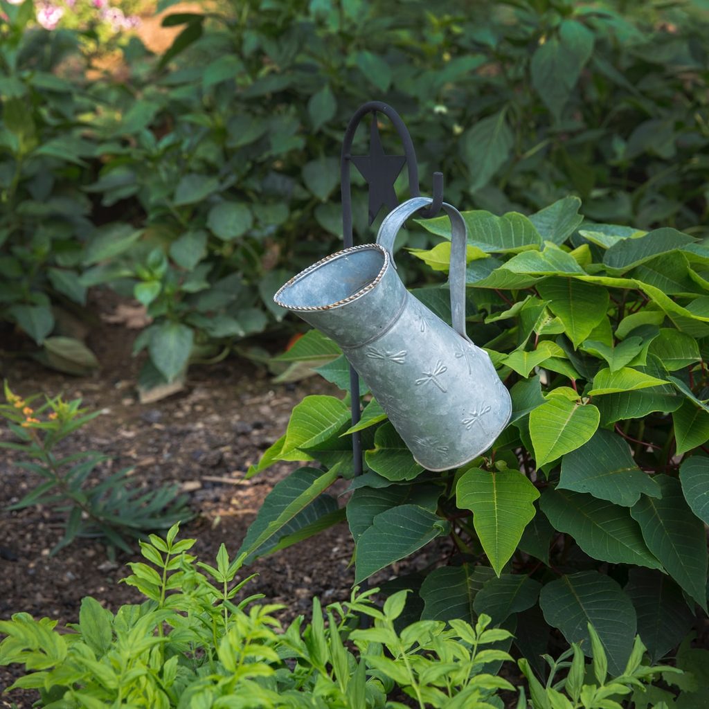 Watering can in garden