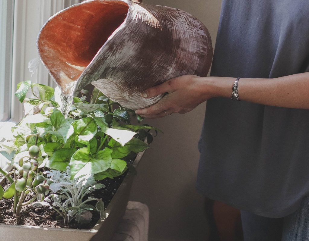 A woman watering a plant box