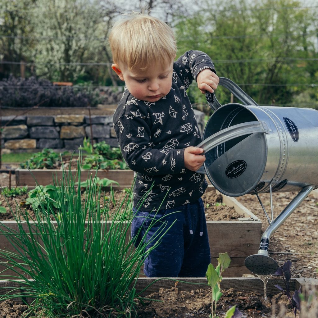Child watering plants