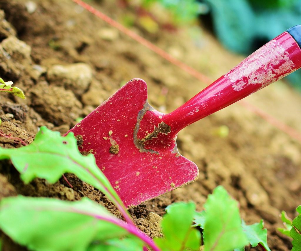 A small, dirty, red garden shovel stuck partway into the dirt