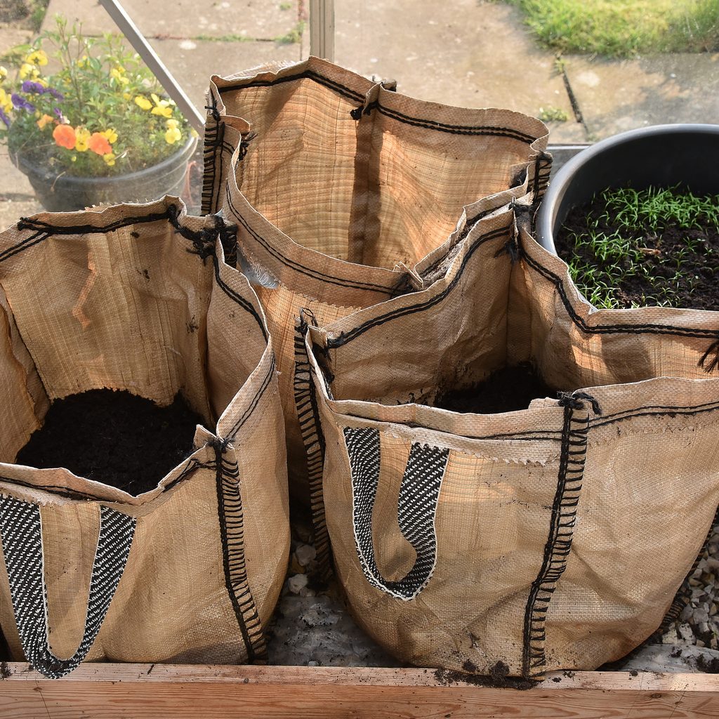 Grow bags for potatoes