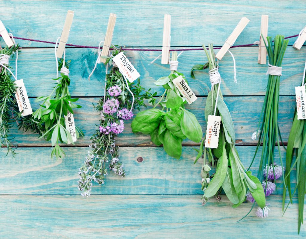 An assortment of hanging herbs