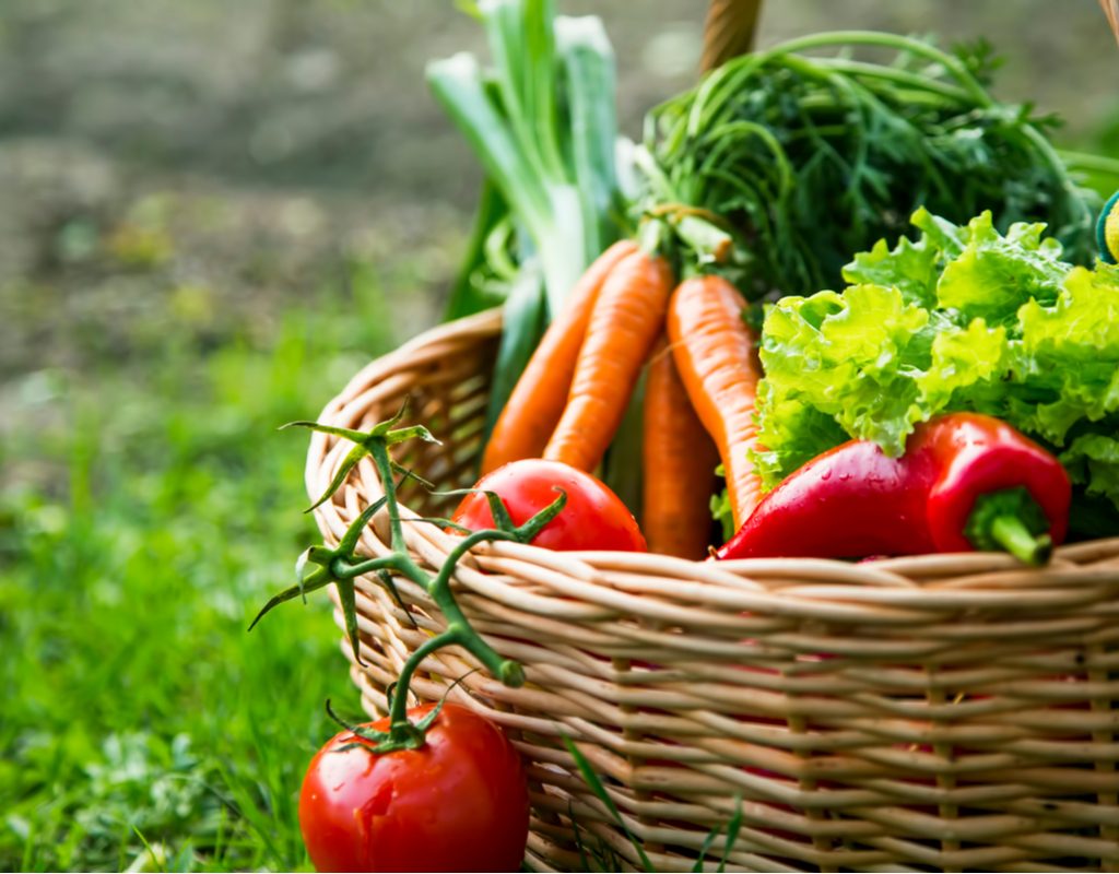 A harvest basket full of vegetables