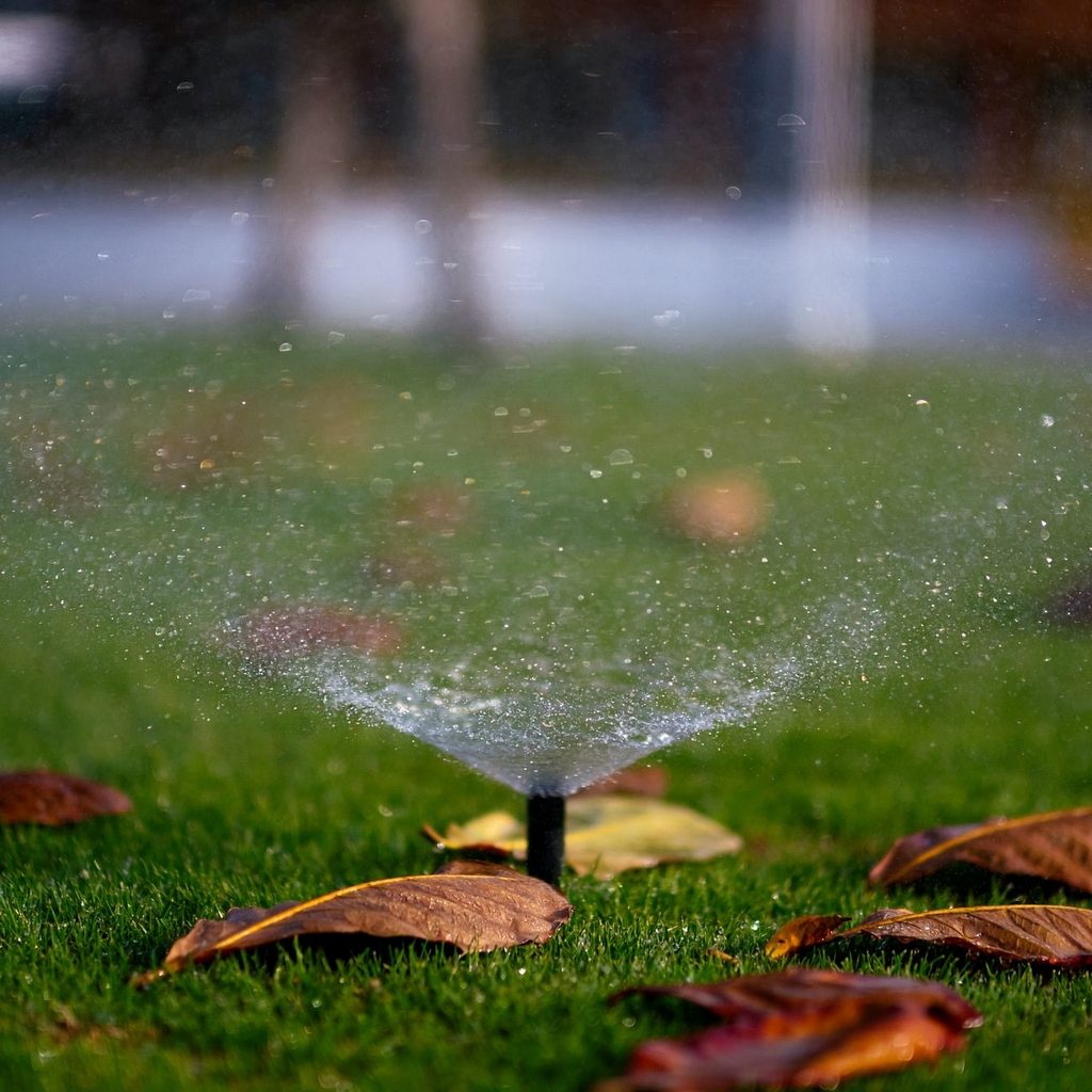 Small sprinkler watering a lawn with a few scattered leaves
