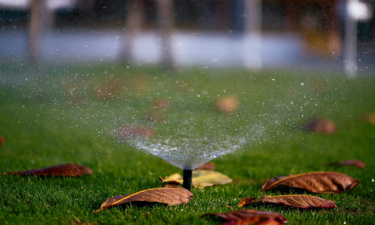 A small lawn sprinkler spraying water