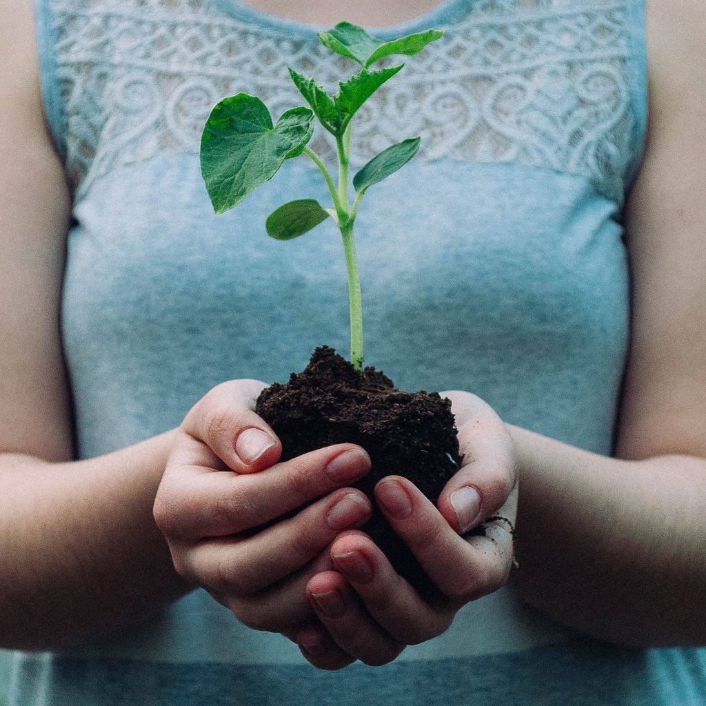 A person holding a seedling and soil in cupped hands