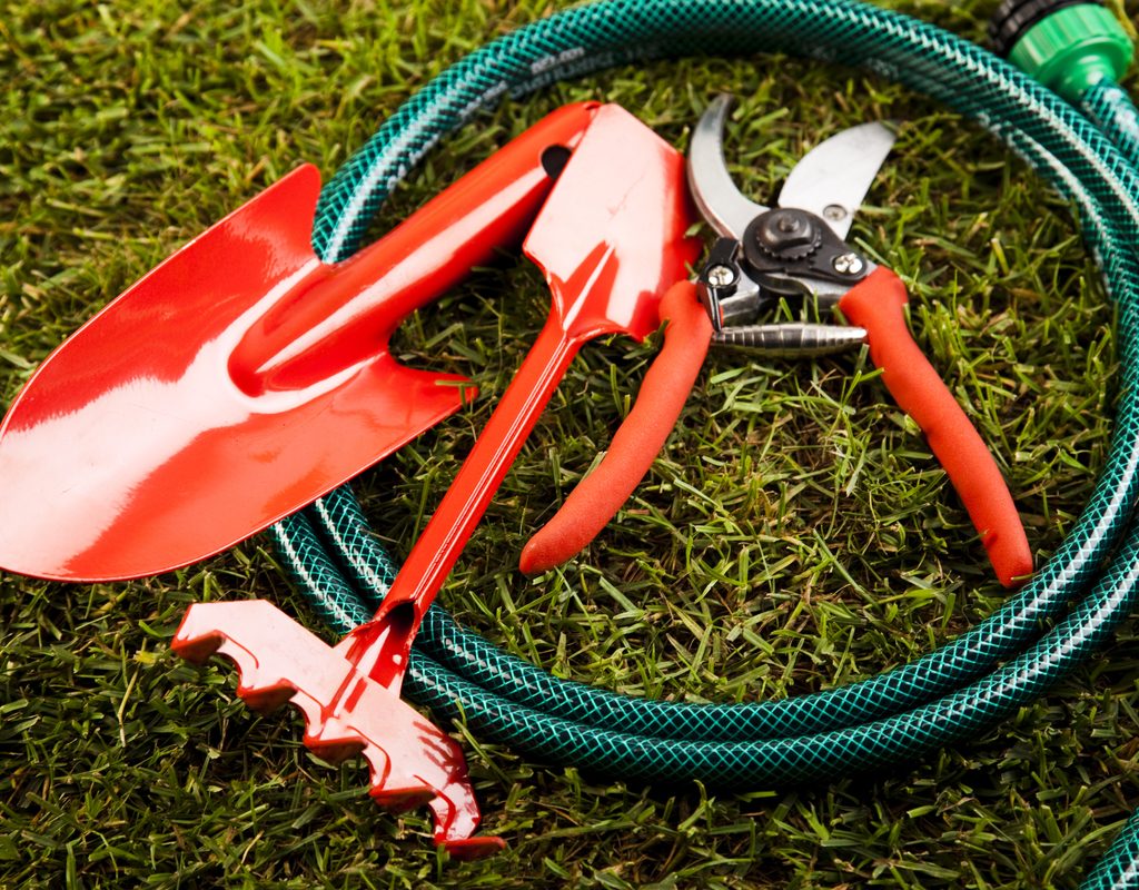 Shiny red gardening tools and a dark green watering hose