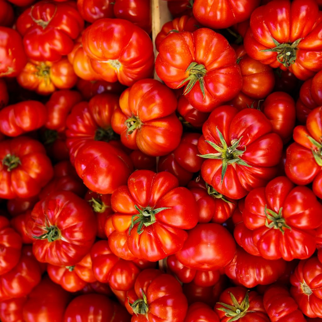 big tomatoes hydroponics