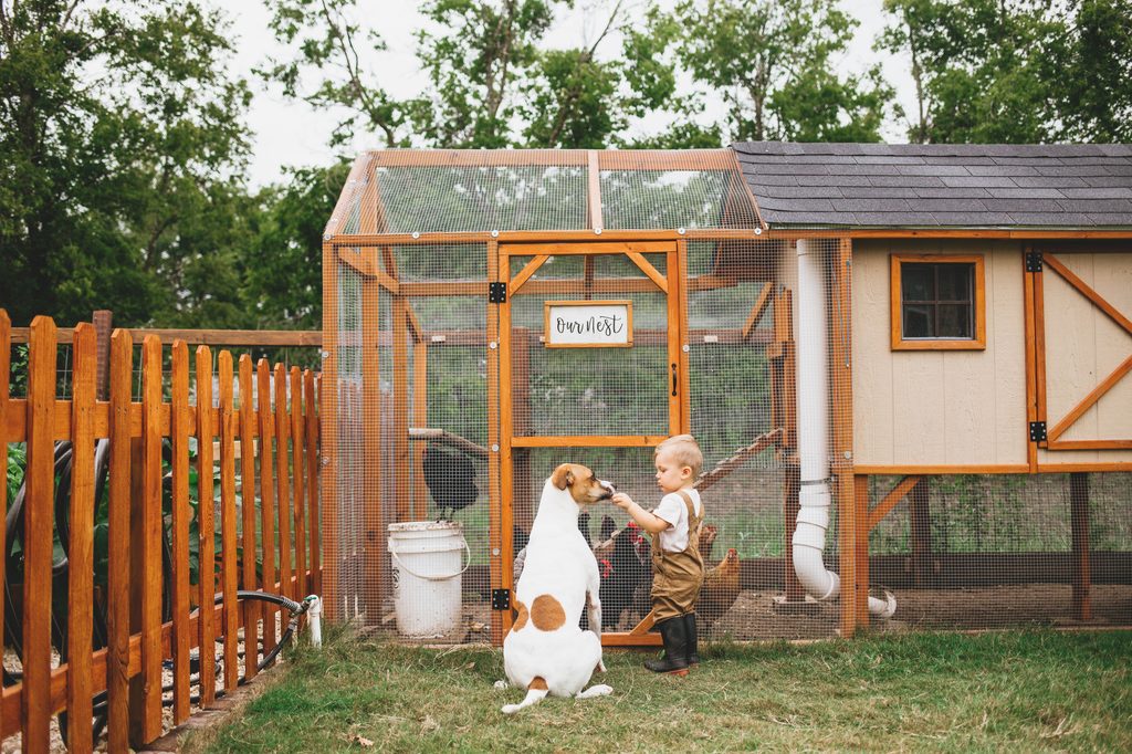 Child stands before chicken coop with his dog