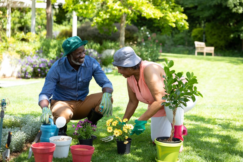 An African American couple planting flowers in their garden