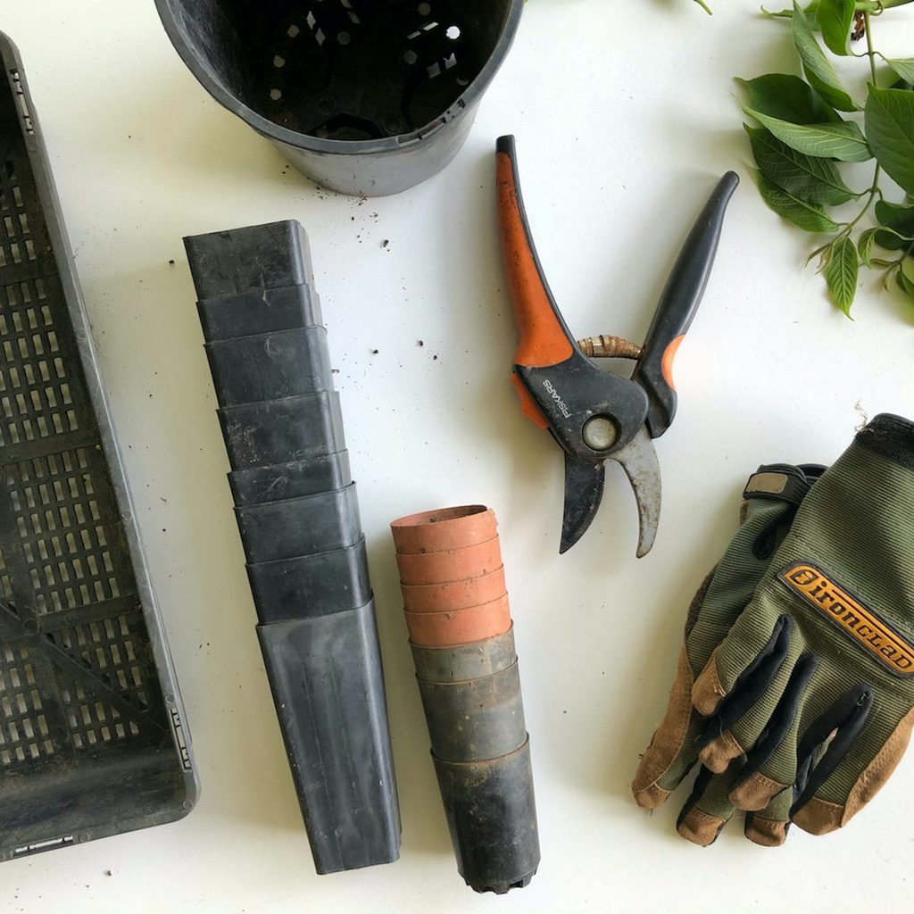 essential garden tools