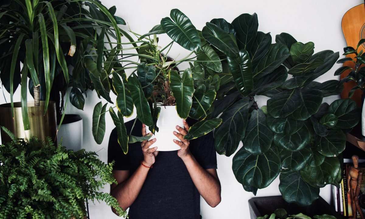 Person with houseplants around and in front of them