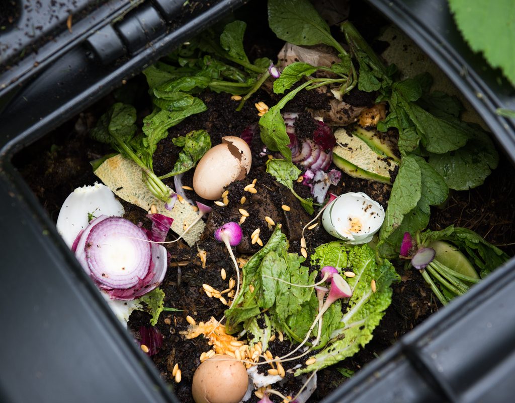 The inside of a compost bin