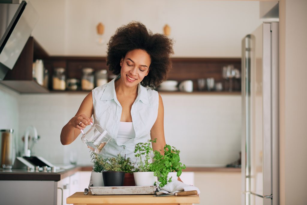 woman watering herb plants on a kitchen counter