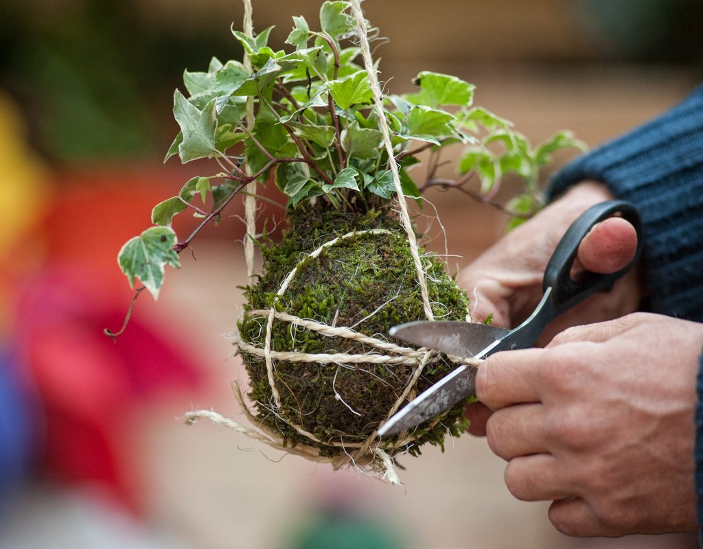 assembling a kokedama planter