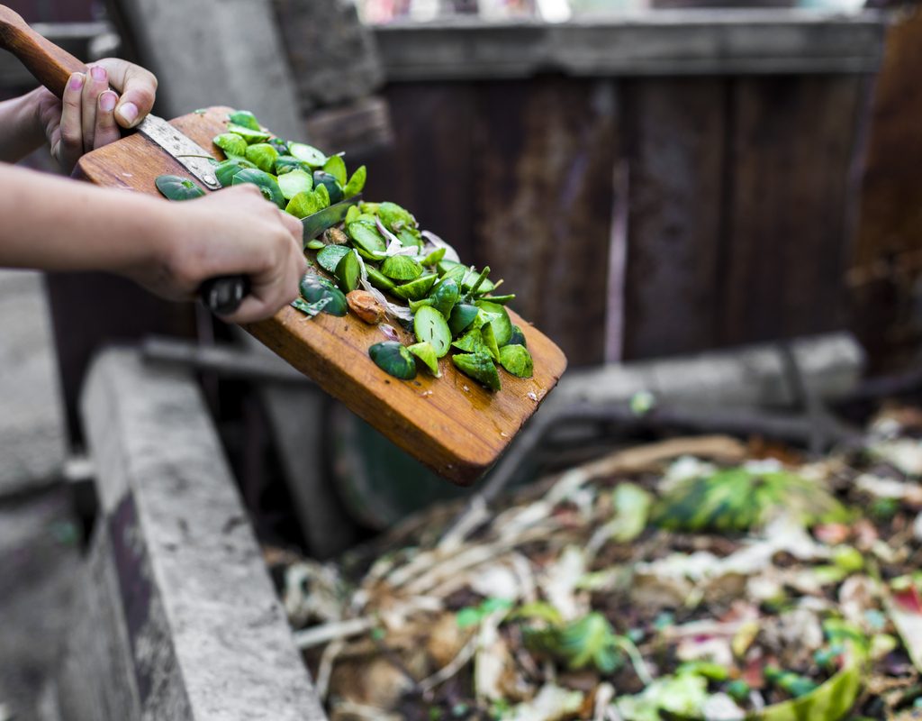 A person composting greens
