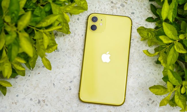 Phone with plants