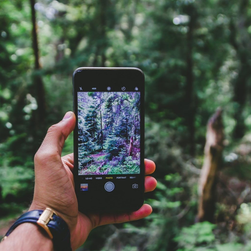 Taking picture of plants