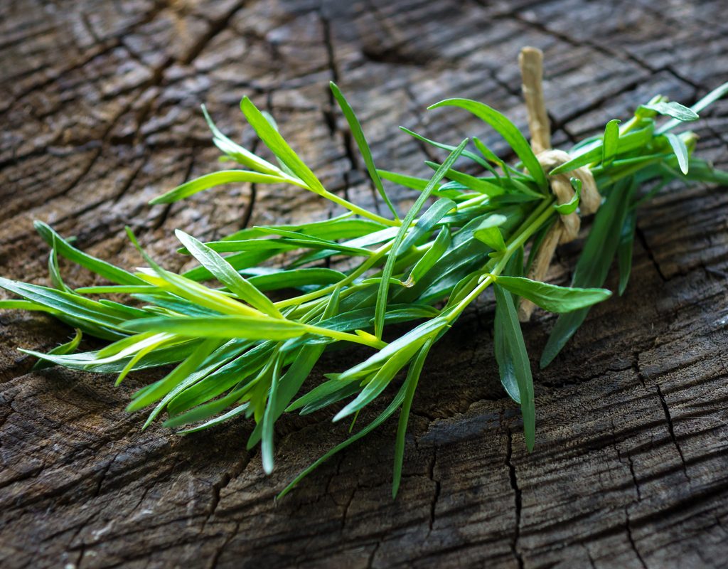 Tarragon on table
