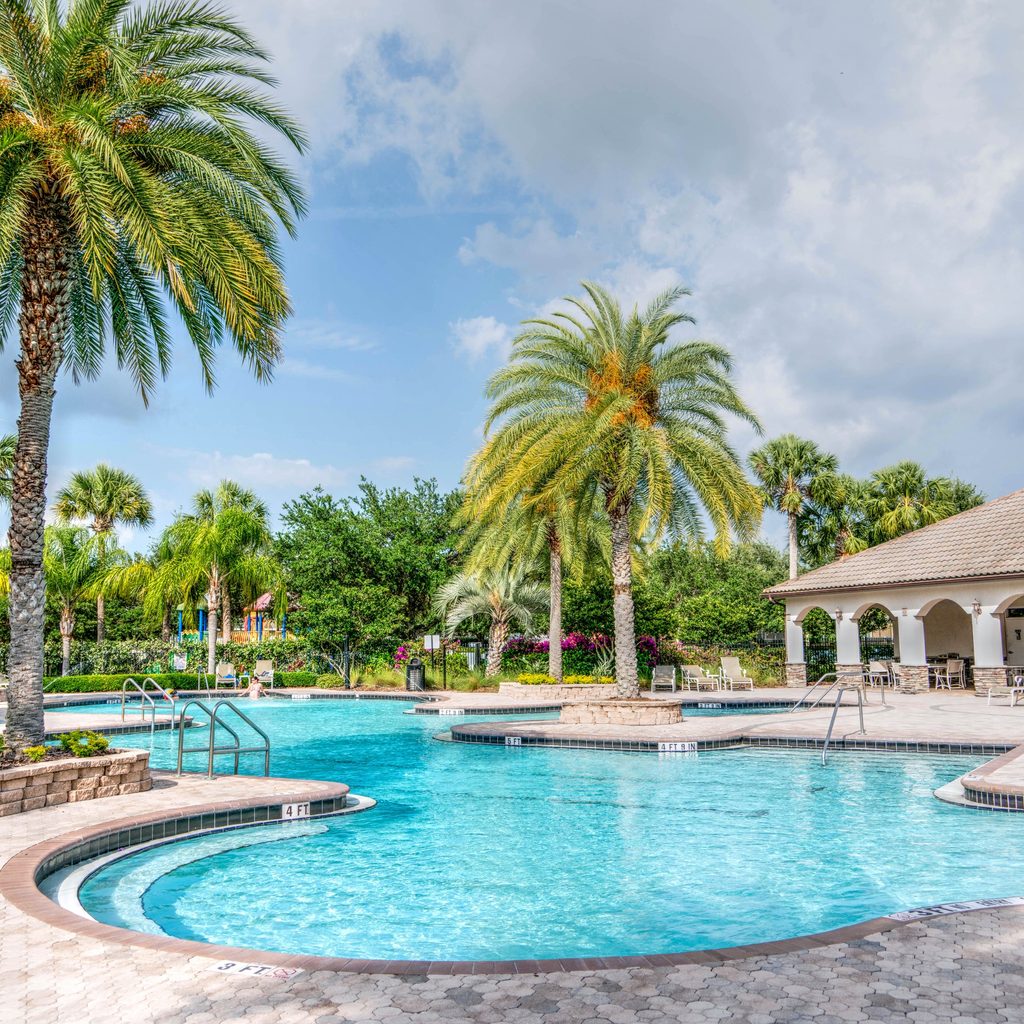 Swimming Pool With A Tropical Theme