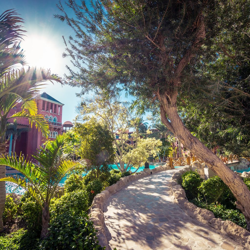 Beautiful Pool Space With Winding Path