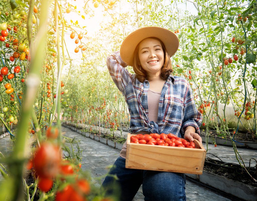 A woman holding a basket of tomato