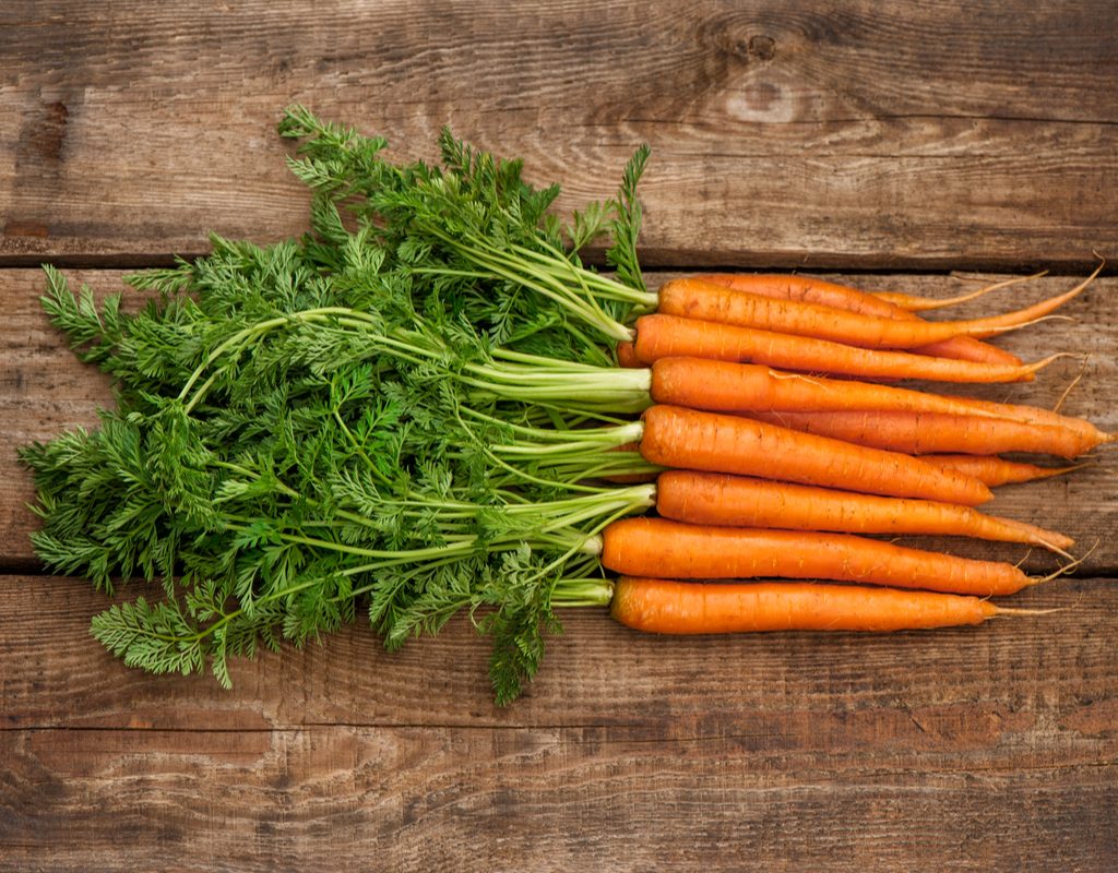 A bundle of fresh carrots