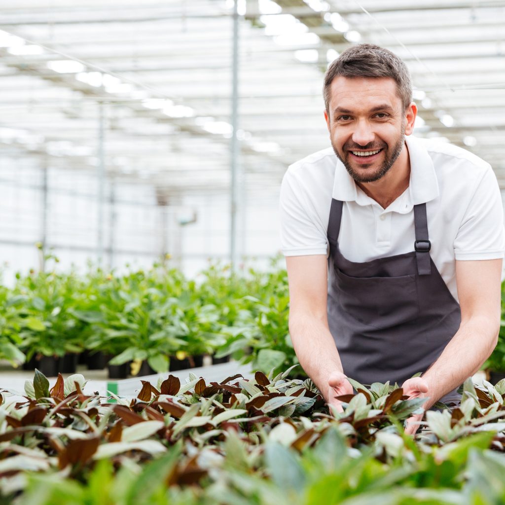 A man working in a greenhouse