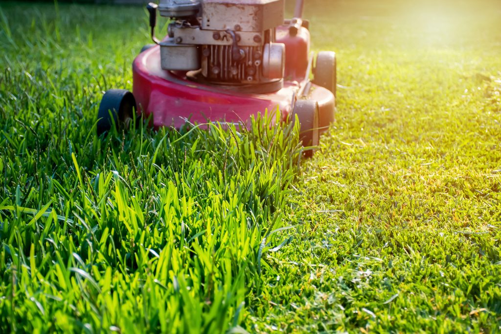 A person mowing their lawn