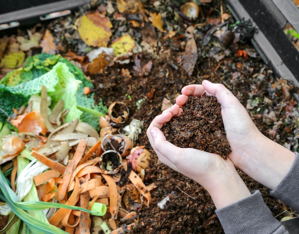 A person holding compost in their hands