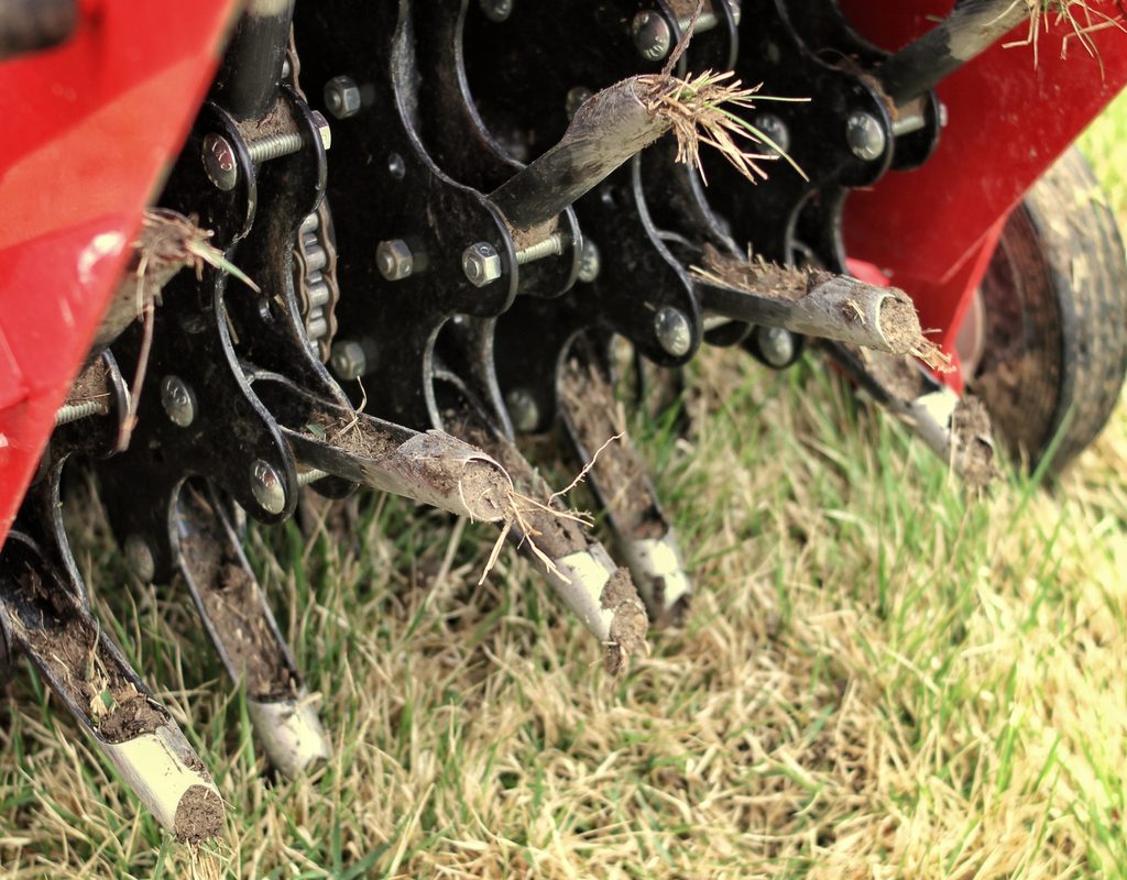 Close-up of plug aerator