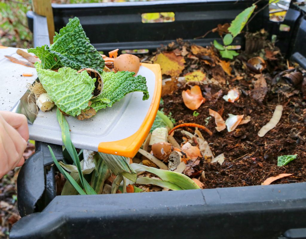 Turning scraps to compost