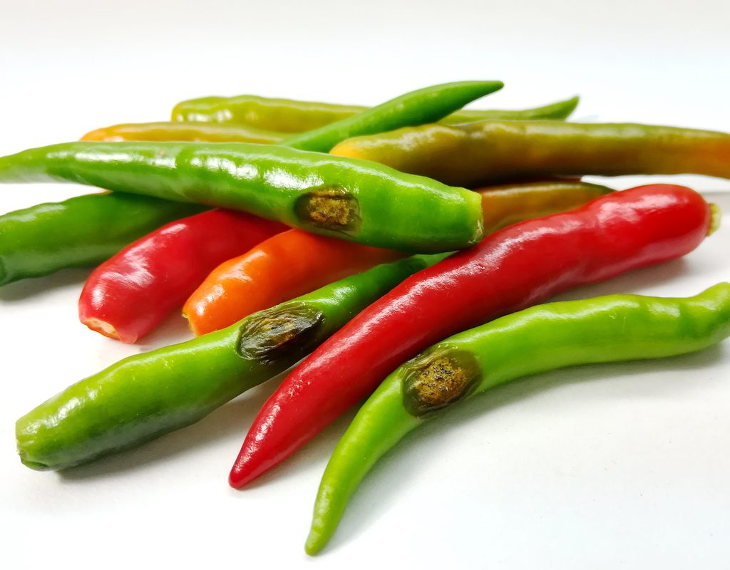 A small pile of peppers with anthracnose