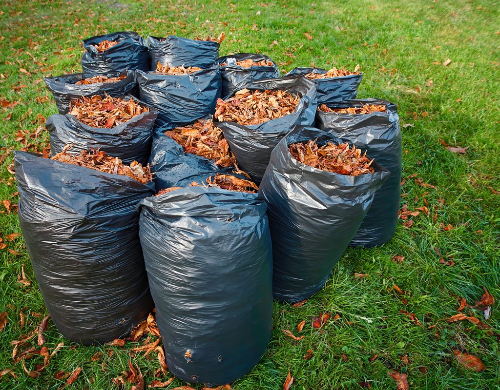 fallen leaves in trash bags