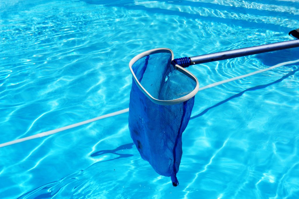 Cleaning swimming pool with blue skimmer