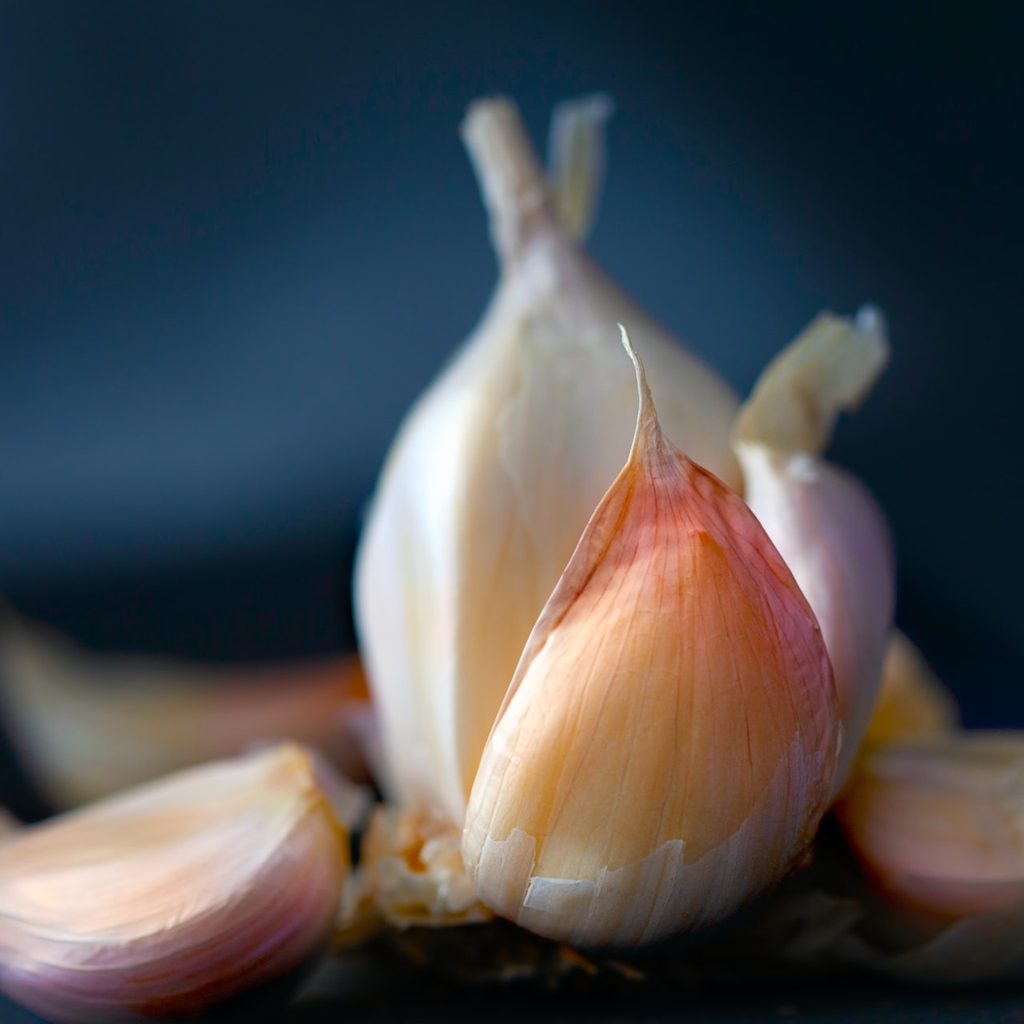 A garlic bulb peeled and pulled partly apart, so the cloves are splayed like petals