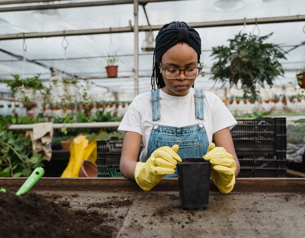 A woman working in her greenhouse