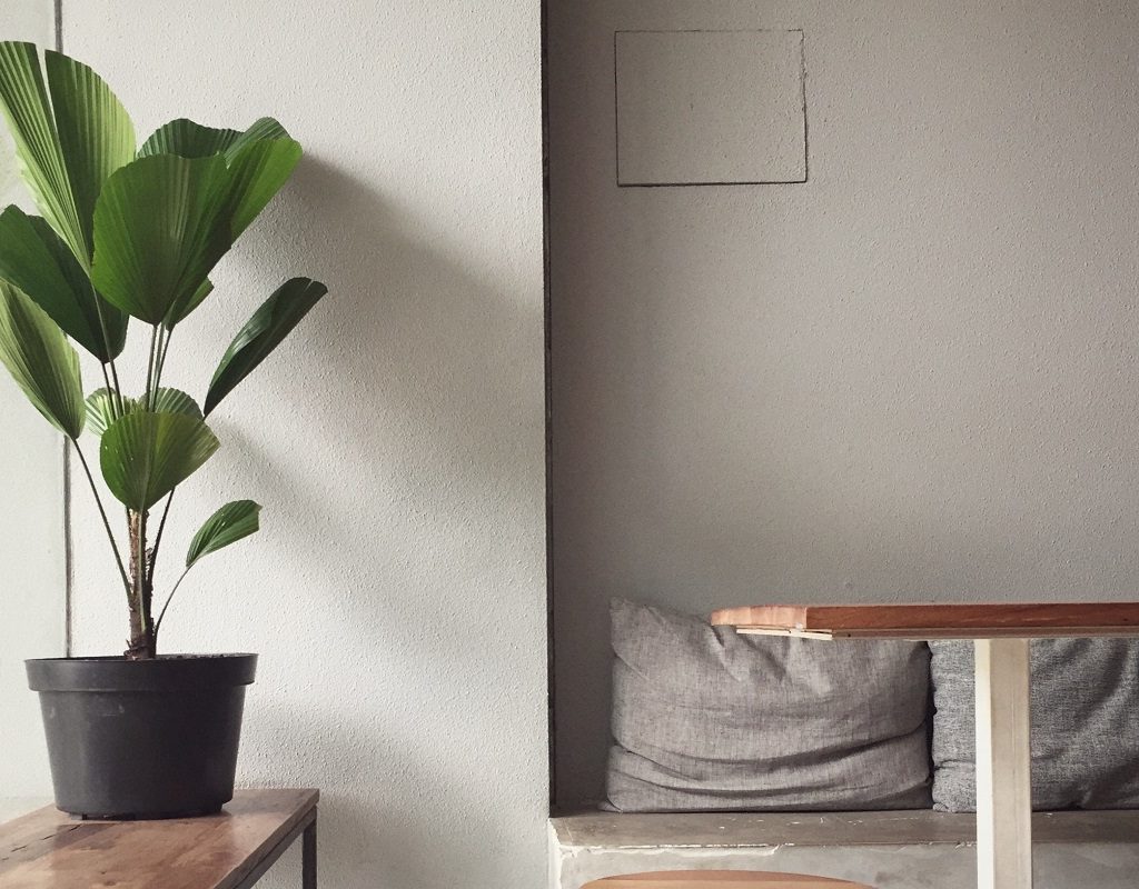 A large potted plant on a side table