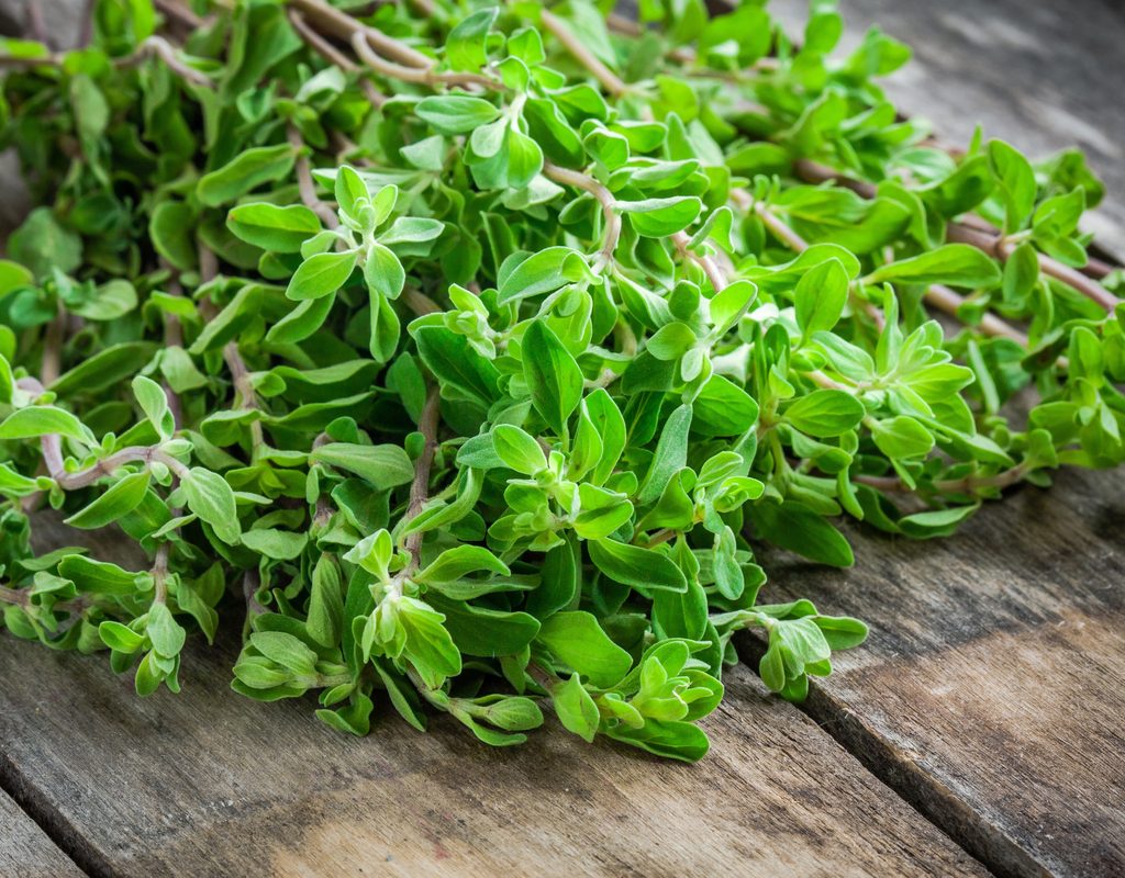 Marjoram on table