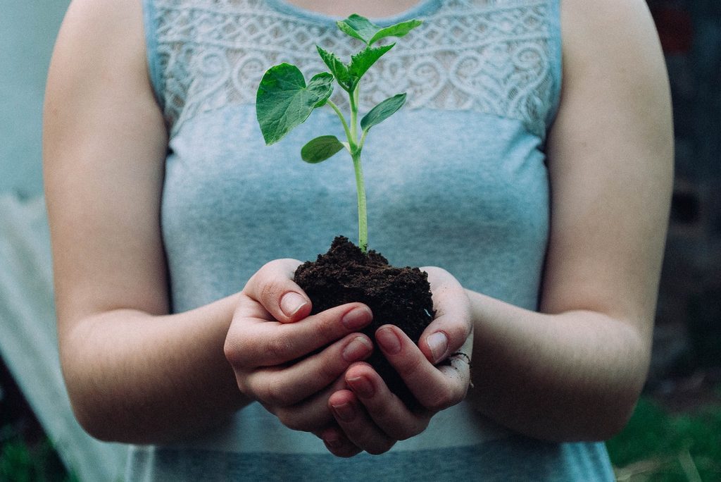 Woman holding a plant in soil