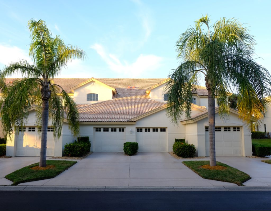 Palm trees in a driveway