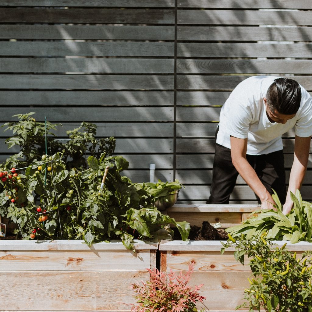 Gardener tending to the garden